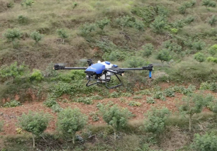 Sichuan Peppercorn 10% de aumento en la producción utilizando drones agrícolas EAVISION
