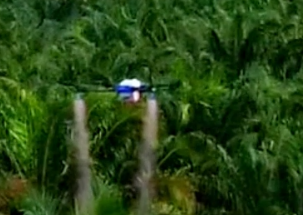 Drones agrícolas chinos, ¡vayan al sudeste asiático a rociar!
