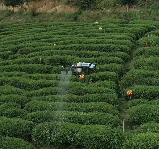 Demostración de protección de plantas de jardín de té EAVISION