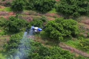 Fumigación de árboles frutales con drones, ¿será este un nuevo avance para los drones agrícolas de EAVISION?

