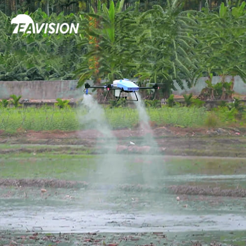 rociado con drones manejo y protección de verano de campos de arroz para mejorar la eficiencia

