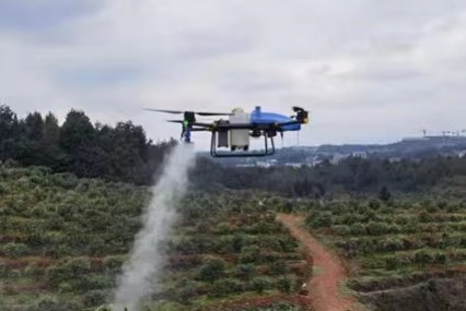 árboles frutales montañosos de hunan usan drones para proteger las plantas
