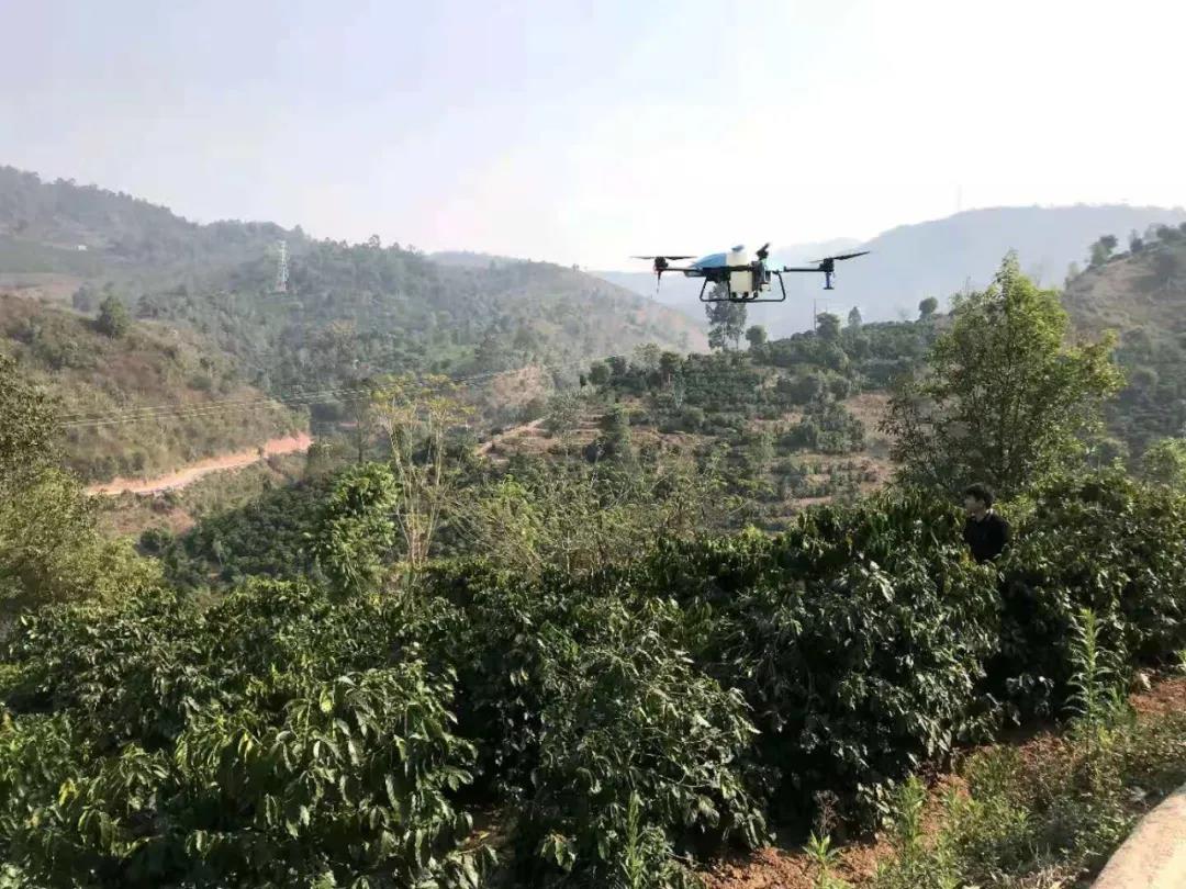 Drone fitosanitario muestra sus habilidades 