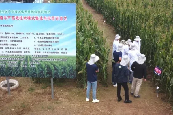 Eavision ayuda a aumentar los rendimientos del maíz de verano en la región de Huang-Huai-Hai