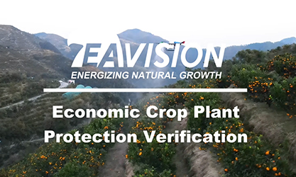 Verificación Económica de Protección Vegetal de Cultivos