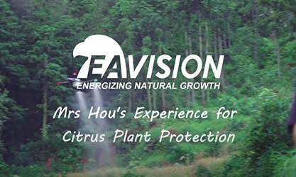 La experiencia de la Sra. Hou para la protección de plantas de cítricos