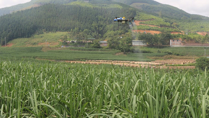 ¡Los drones agrícolas inteligentes de EAvision tienen efectos notables en la prevención del vuelo de la caña de azúcar!