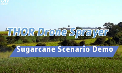 Pulverizador de drones THOR para demostración de escenario de caña de azúcar (Brasil)