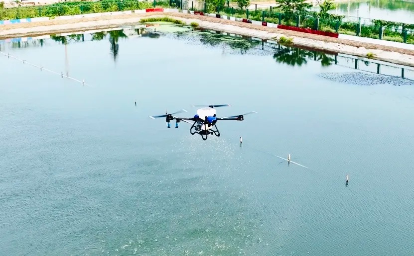 Los cangrejos peludos del lago Yangcheng también exploran la 